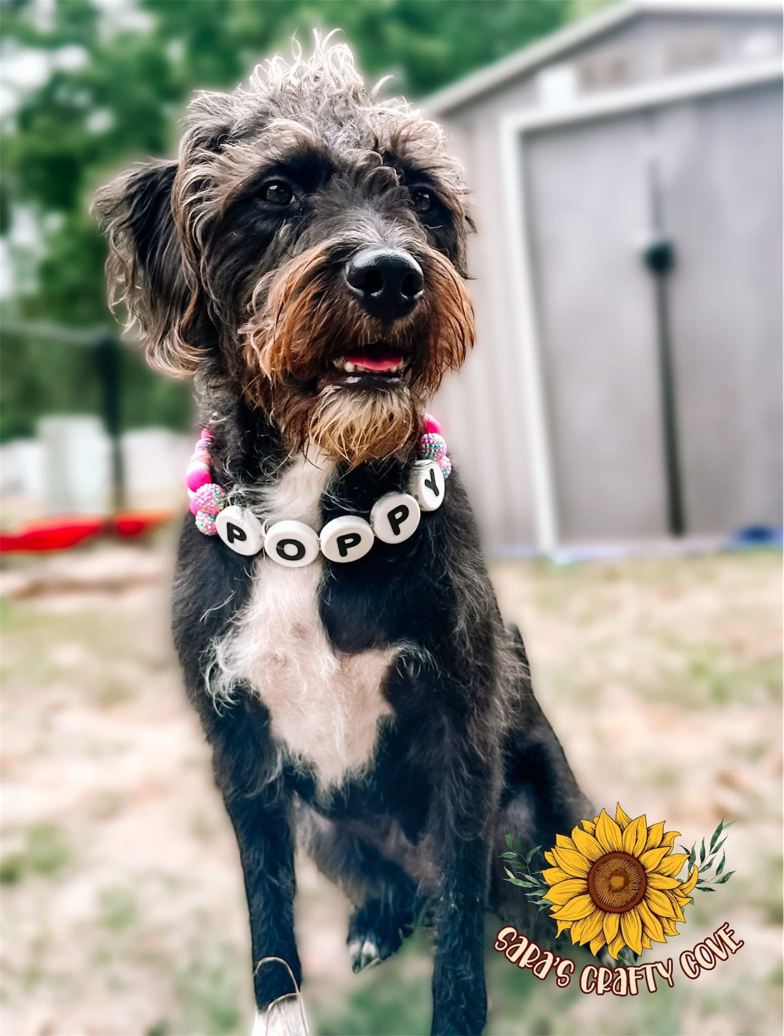 Custom Pet Name Necklace
