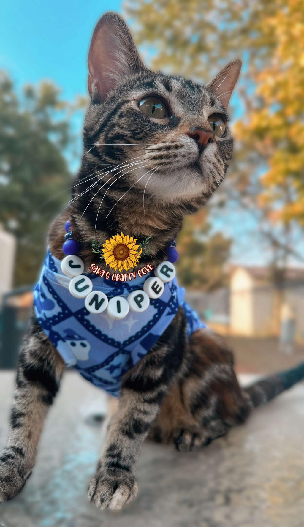 Custom Pet Name Necklace