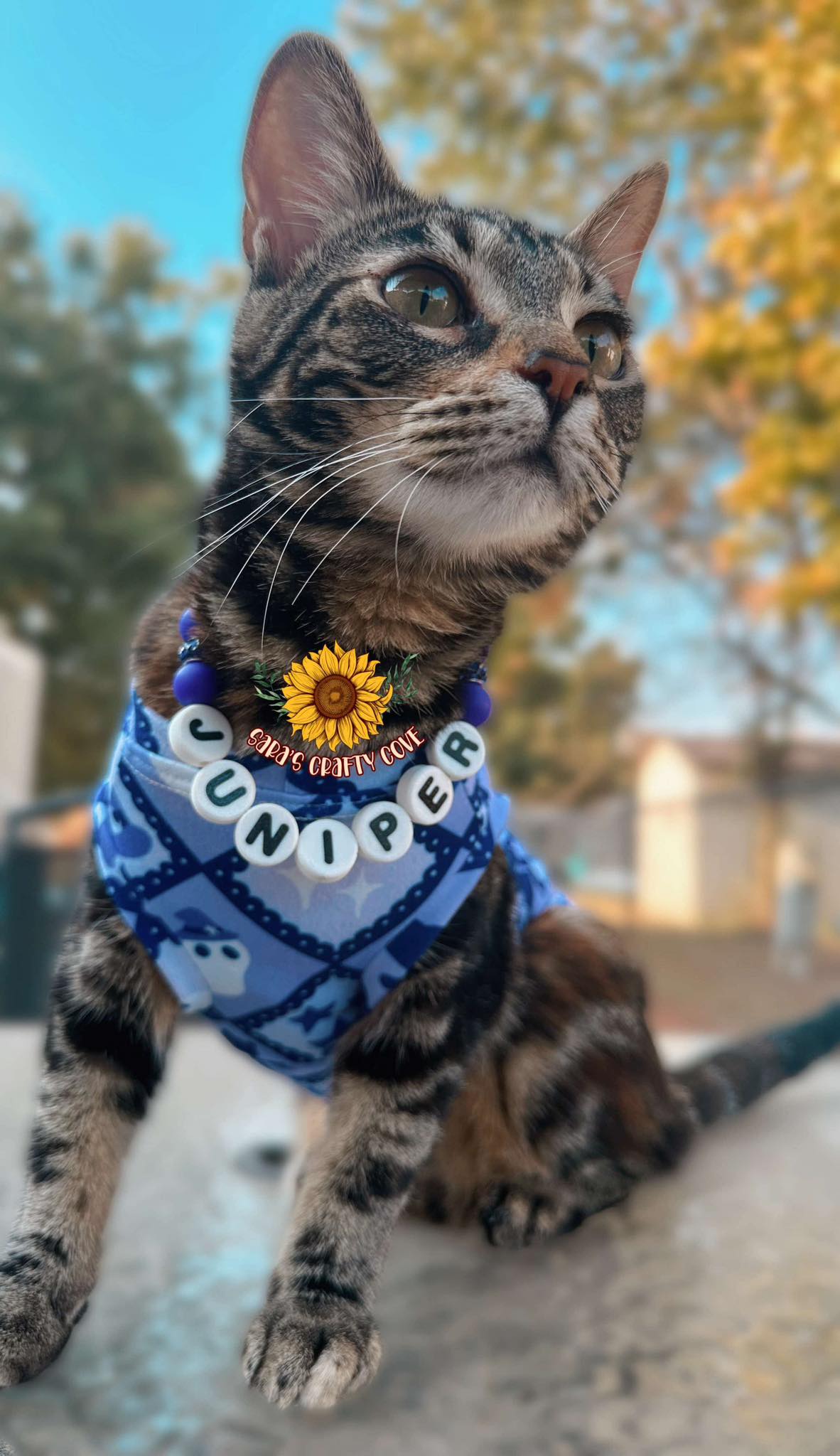 Custom Pet Name Necklace