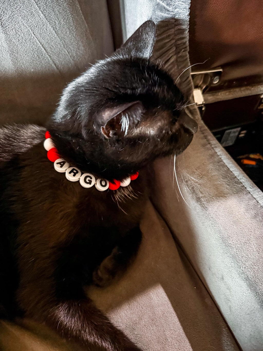 Custom Pet Name Necklace