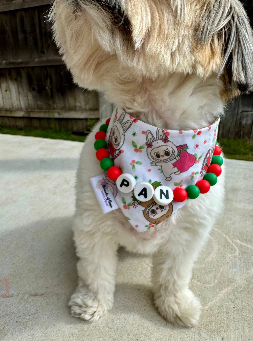 Custom Pet Name Necklace