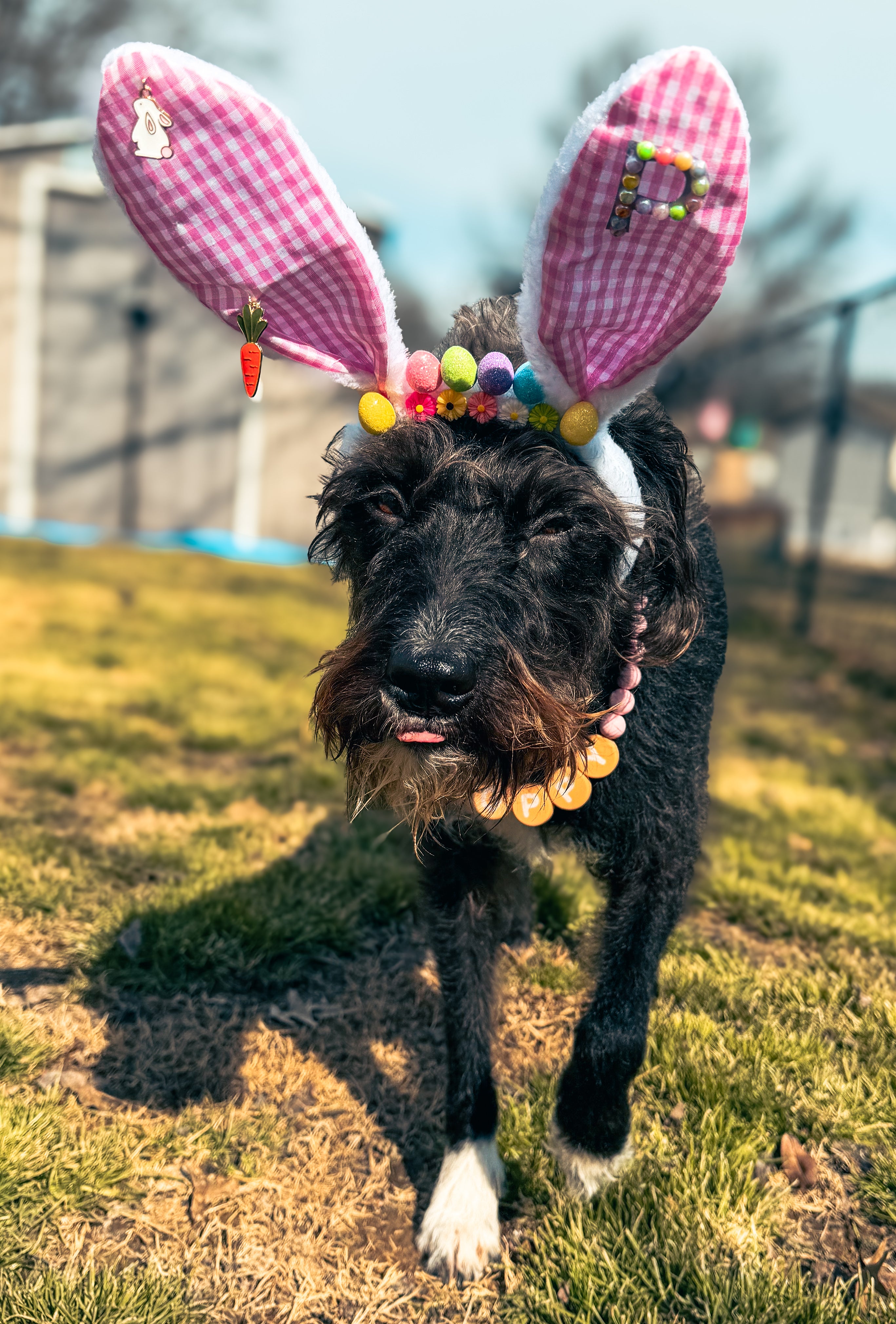 Custom Bling Bunny Ears