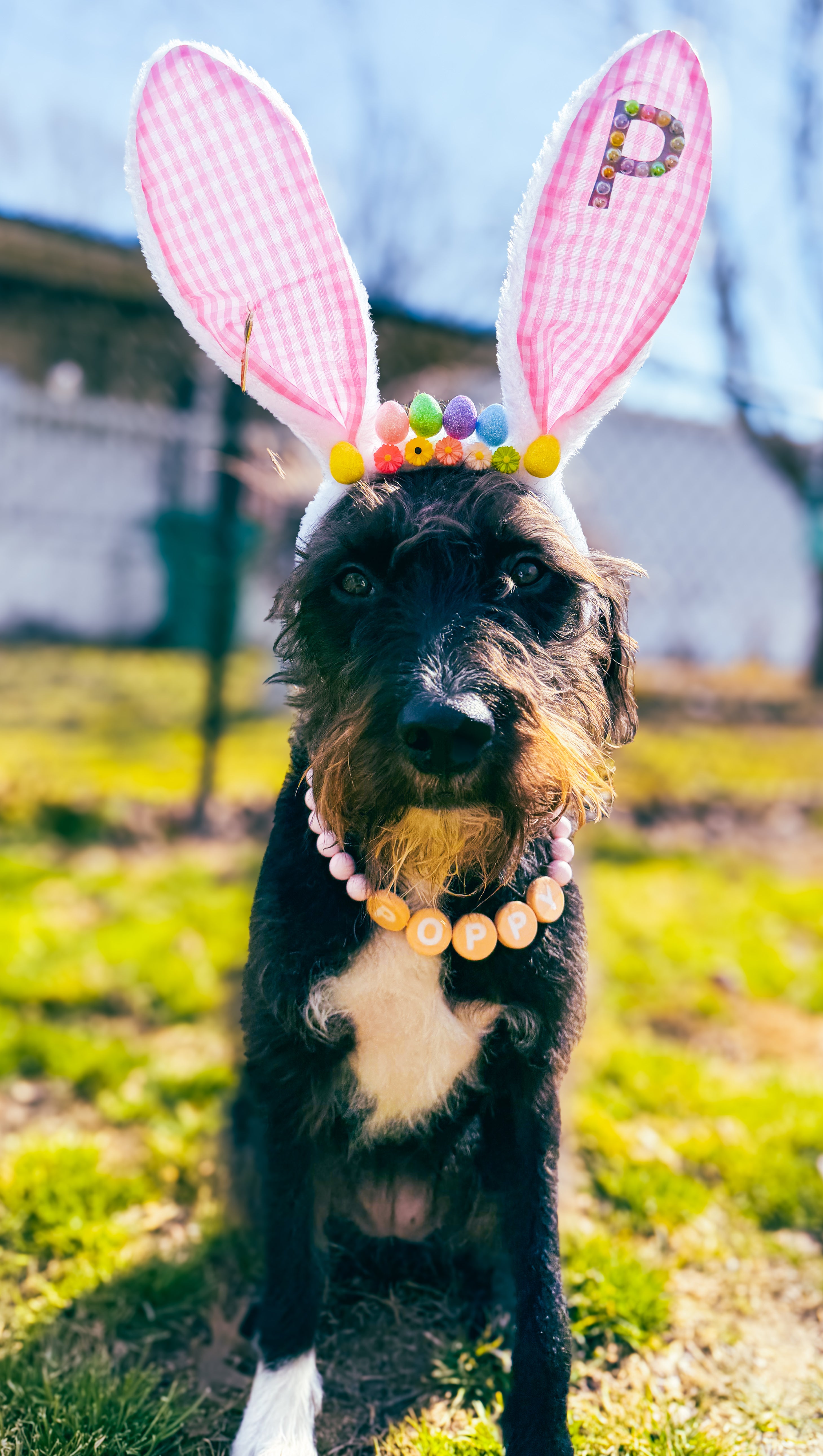 Custom Bling Bunny Ears