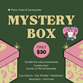Mystery Accessories box